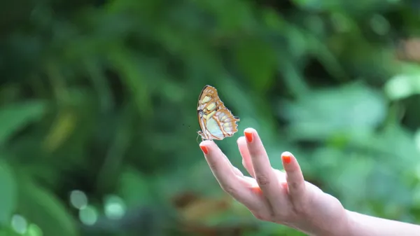 como_practicar_el_desapego_emocional_5405_600