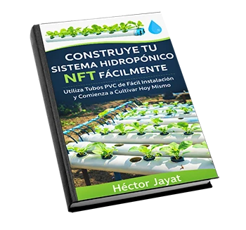 Construye Tu sistema NFT 3D-350-good