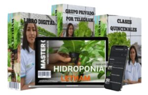 Reseña Sobre Hidroponia Letham
