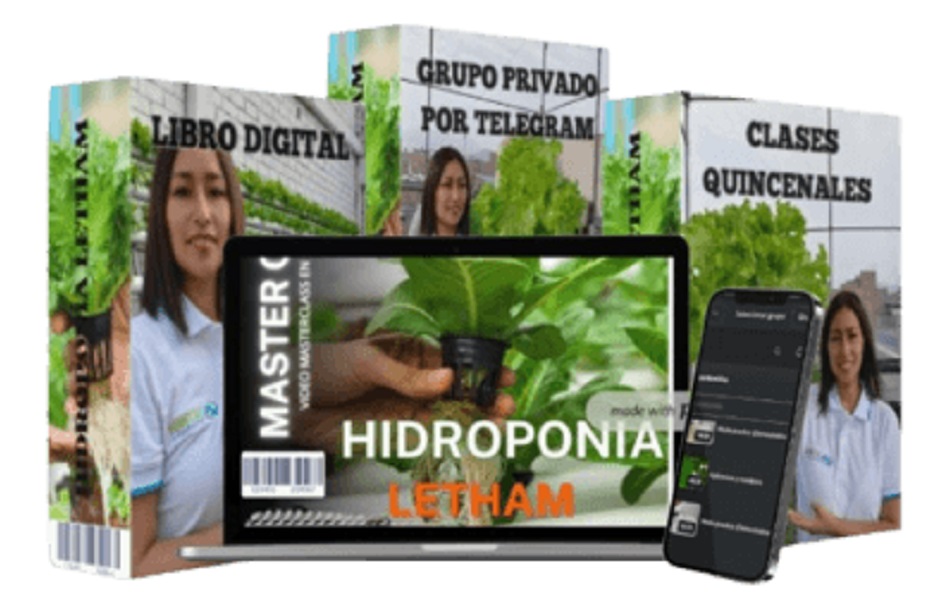 Reseña Sobre Hidroponia Letham